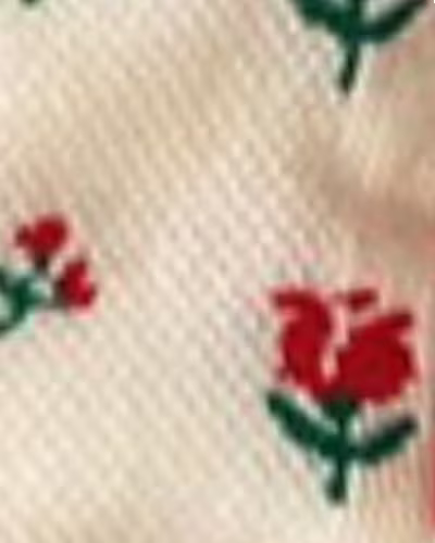 کرم خال خالی